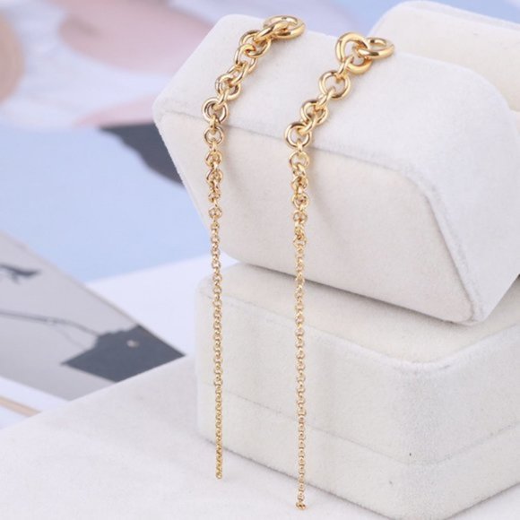 Michael Kors Fringe Metal Chain Long Earrings - Picture 1 of 9